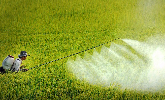 Các quy định về điều kiện đối với cơ sở mua bán thuốc bảo vệ thực vật và những vấn đề đặt ra