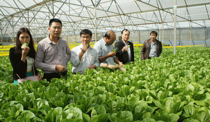 Bộ trưởng Trần Tuấn Anh: Tổ chức sản xuất mới là số 1