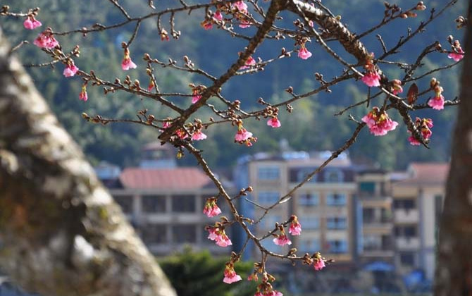 Thời tiết 13-1: Không khí lạnh bắt đầu suy yếu, Bắc bộ bước vào đợt rét khô