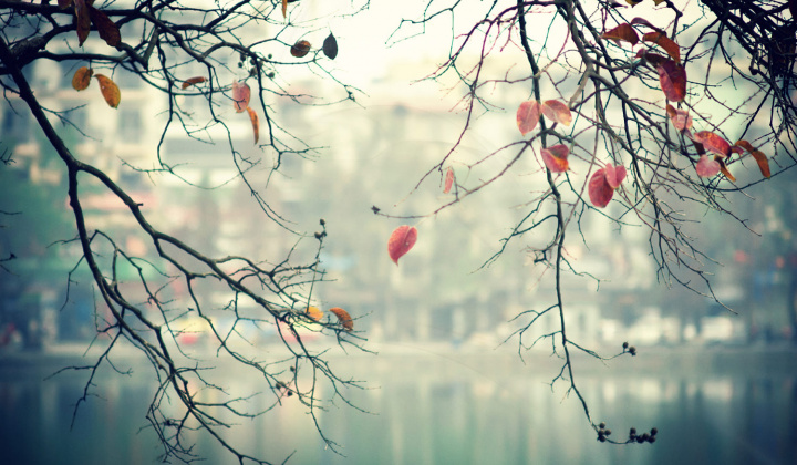 Thời tiết 18-1: Không khí lạnh tăng cường, miền Bắc nằm sâu trong đợt rét đậm, rét hại