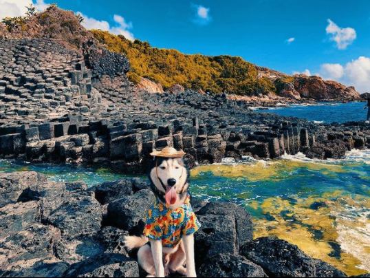 Bamboo Airways chính thức khai trương đường bay Tuy Hòa - TP. Hồ Chí Minh