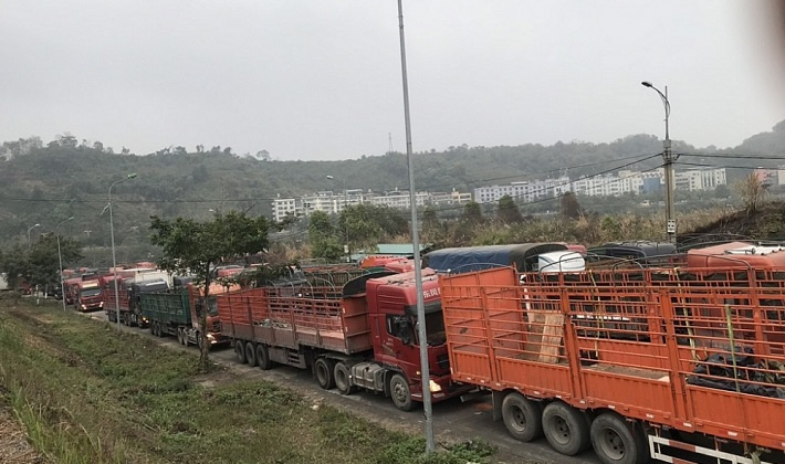 Tăng thời gian mở cửa khẩu Kim Thành, Lào Cai lên 22 giờ để giảm ùn tắc