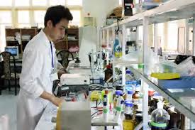 Xác định hàm lượng Borate (hàn the) trong thực phẩm bằng phương pháp đo phổ phát xạ nguyên tử cảm ứng cao tần plasma (ICP - OES)