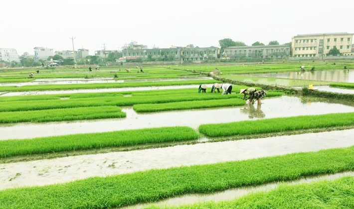 EVN chuẩn bị sẵn sàng phục vụ xả nước đổ ải vụ Đông Xuân