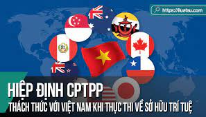 Một số giải pháp hoàn thiện pháp luật thích ứng các cam kết về quyền sở hữu trí tuệ theo Hiệp định Đối tác Toàn diện và Tiến bộ xuyên Thái Bình Dương