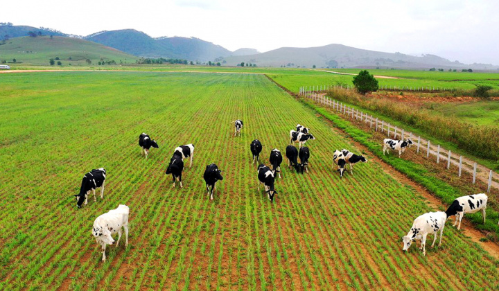 Đề xuất mô hình nghiên cứu các nhân tố ảnh hưởng đến hành vi ứng dụng công nghệ cao trong ngành chăn nuôi