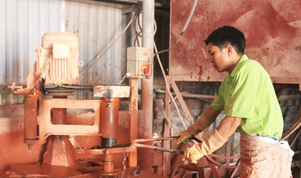 Hỗ trợ doanh nghiệp chiếm lĩnh thị trường trong nước