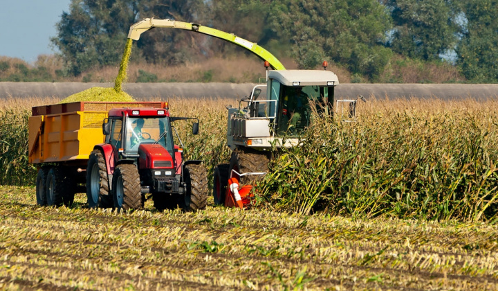 Thị trường nông sản thế giới ghi nhận tuần giao dịch tích cực
