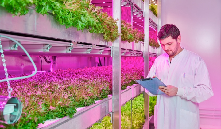 Signify Việt Nam và những giải pháp chiếu sáng công nghệ cao