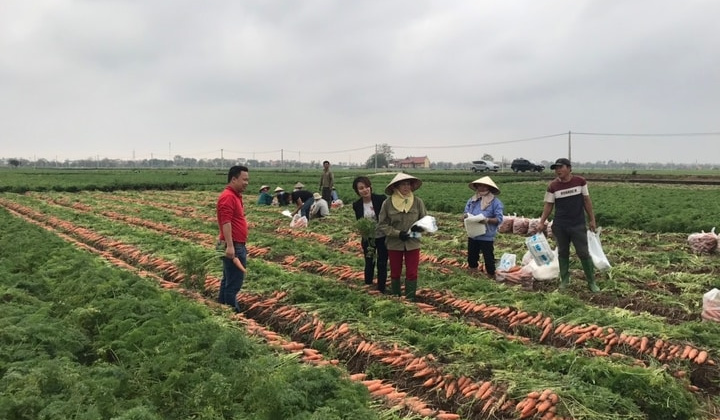 Làn gió mới trong cộng đồng doanh nghiệp Thủ đô