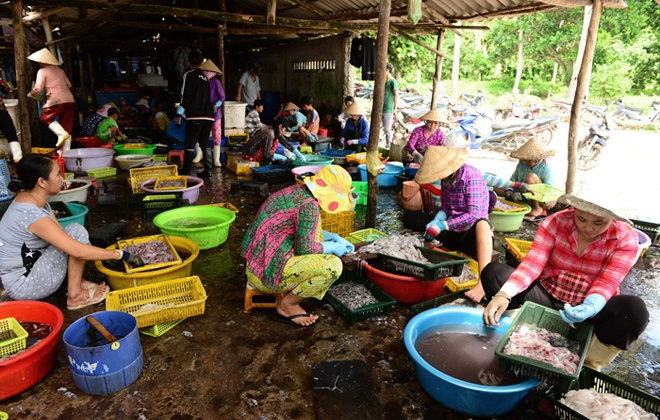 Hỗ trợ ngư dân bám đảo, bám biển