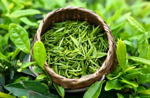 Đài Loan (Trung Quốc) lưu ý về Giấy chứng nhận kiểm dịch thực vật