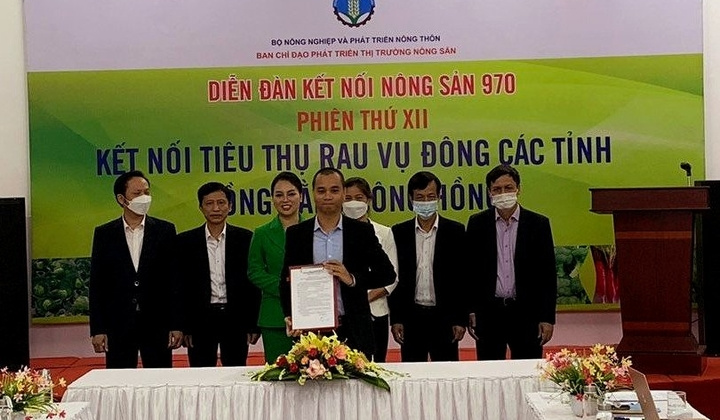 Thagri đồng hành kết nối tiêu thụ rau vụ đông các tỉnh Đồng bằng sông Hồng