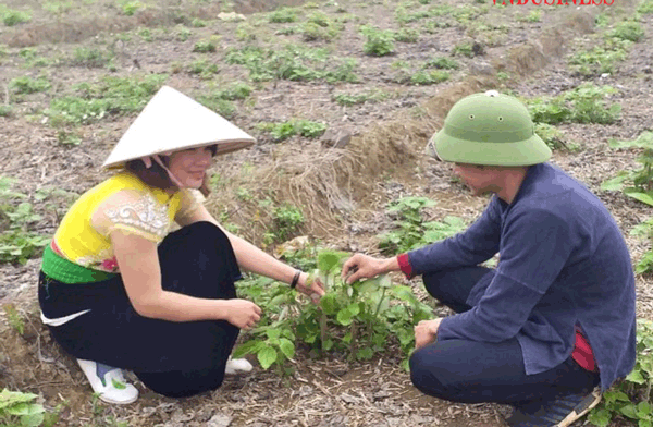 Mở cơ hội việc làm, thị trường ở các xã thuộc vùng đồng bào dân tộc thiểu số