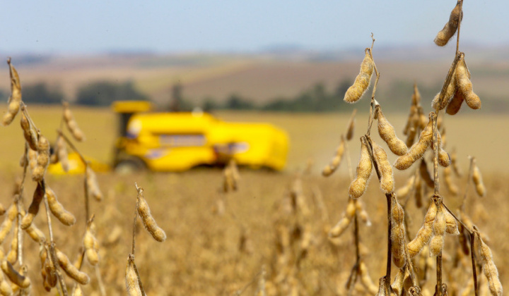 Giá nông sản thế giới chịu áp lực giảm mạnh khi FED quyết định giảm dần kích thích kinh tế