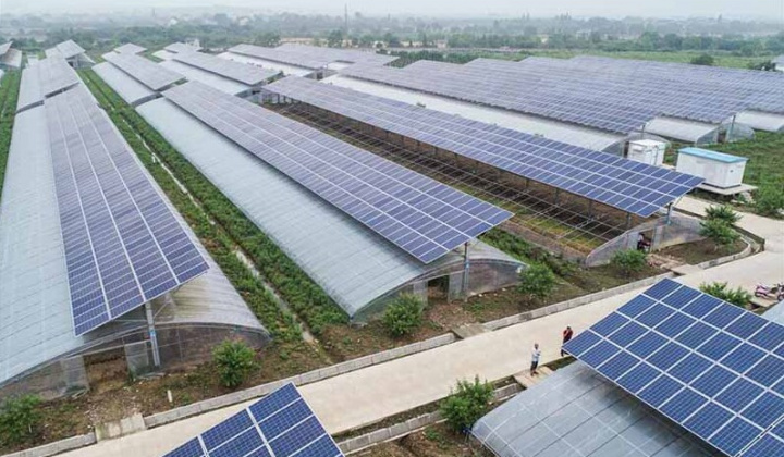 Tiềm năng kết hợp sản xuất nông nghiệp với khai thác năng lượng mặt trời tại Việt Nam