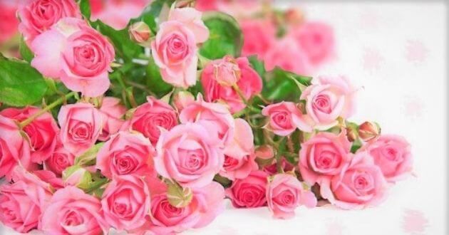 Bộ trưởng Nguyễn Hồng Diên gửi thư chúc mừng nhân Ngày Pháp luật Việt Nam năm 2021