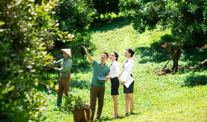 Cho vay nông nghiệp, nông thôn tiếp tục là định hướng của LienVietPostBank