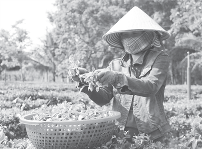 [Truyền thống Công Thương] Từng có thời kỳ chênh lệch xuất khẩu-nhập khẩu luôn bằng “0”