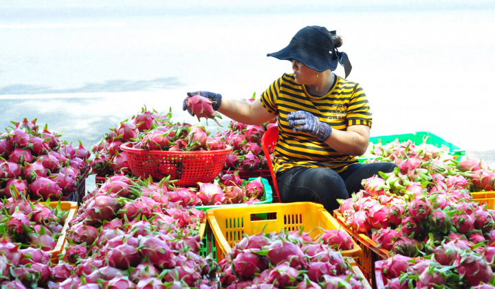 Cơ hội mới cho xuất khẩu hàng Việt sang thị trường EU