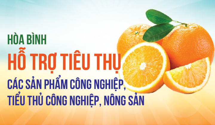 [eMagazine] Hòa Bình hỗ trợ tiêu thụ các sản phẩm công nghiệp, tiểu thủ công nghiệp, nông sản