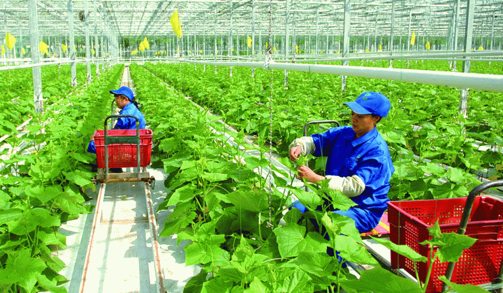 Phát triển kinh tế nông nghiệp bền vững và thích ứng biến đổi khí hậu tại đồng bằng sông Cửu Long