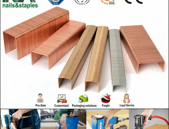 Cảnh báo khả năng bị điều tra áp dụng biện pháp PVTM ghim đóng thùng sang Hoa Kỳ