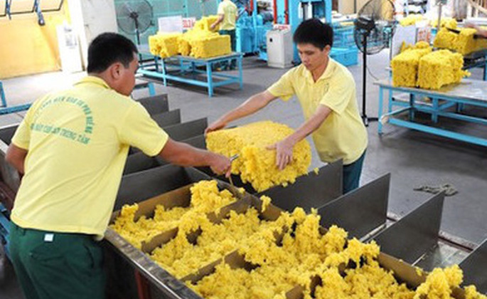 Hoạt động sản xuất hồi phục, xuất khẩu cao su tăng cao trở lại