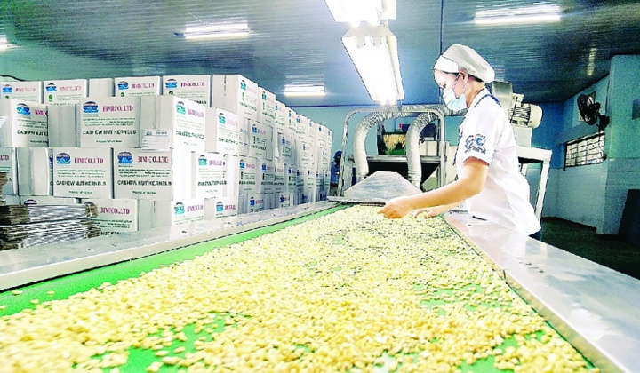 11 tháng, xuất khẩu hạt điều đạt trị giá 3,34 tỷ USD