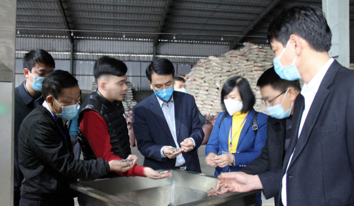 Lào Cai: Siết chặt công tác hậu kiểm, kiểm tra về an toàn thực phẩm dịp Tết