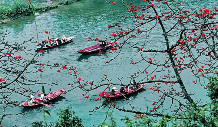 Nhiều di tích quốc gia đặc biệt không đón khách để chống dịch