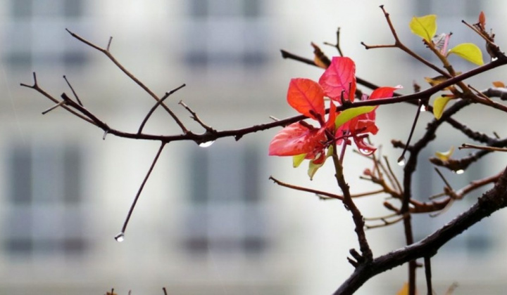 Thời tiết 17-2: Đón không khí lạnh tăng cường, Hà Nội trời trở rét