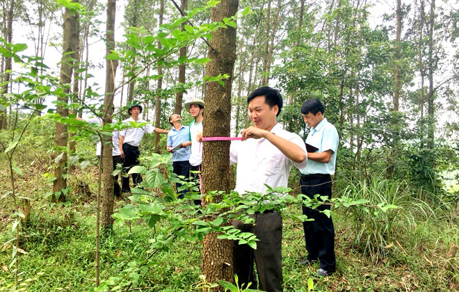 Tuyên Quang tăng cường khả năng tiếp cận với chuỗi cung ứng từ các FTAs thế hệ mới
