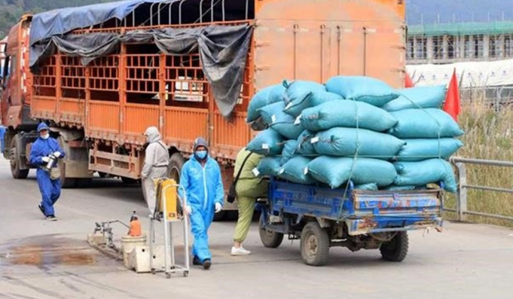Ban hành quy chế phòng, chống dịch trong hoạt động vận tải để  không “ngăn sông, cấm chợ”