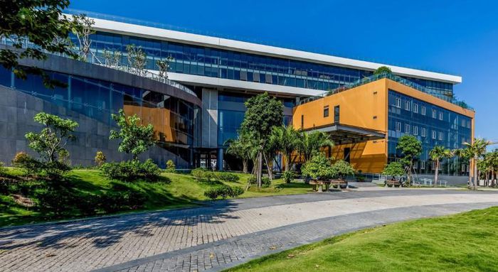 Teaching vocabulary for non-English major freshmen through English subtitled videos at Van Lang University