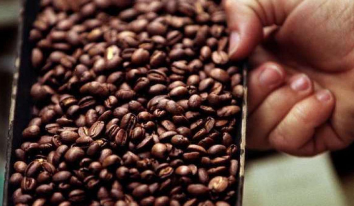Chỉ số giá cà phê toàn cầu tháng 2/2021 tăng tháng thứ 4 liên tiếp
