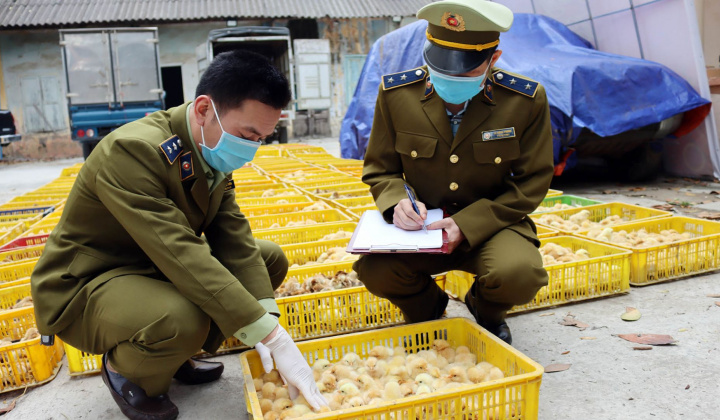 Triệt phá nhiều cơ sở sản xuất, kinh doanh hàng giả, thực phẩm bẩn