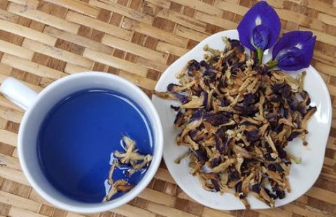 Nghiên cứu quy trình chiết anthocyanin từ hoa đậu biếc khô ứng dụng làm chất chỉ thị phát hiện hàn the