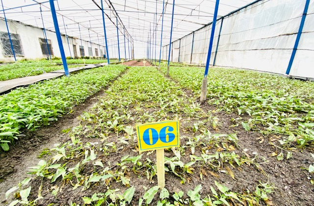 Xây dựng nhà máy xanh ở DAP-Vinachem