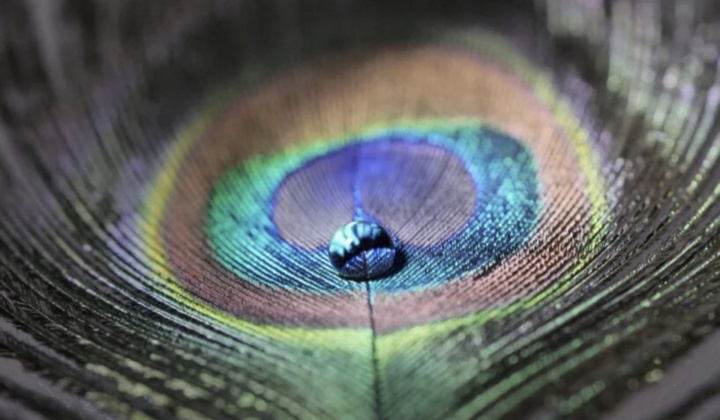 Nhật Bản phát triển vật liệu mới có thể thay đổi màu sắc khi thay đổi áp suất