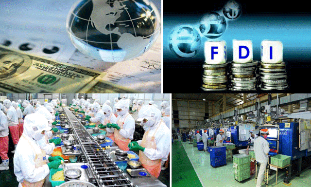 Chính sách thu hút vốn đầu tư trực tiếp nước ngoài (FDI) tại tỉnh Bình Dương