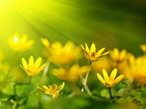 Thời tiết 01-04: Nền nhiệt tăng trên cả nước