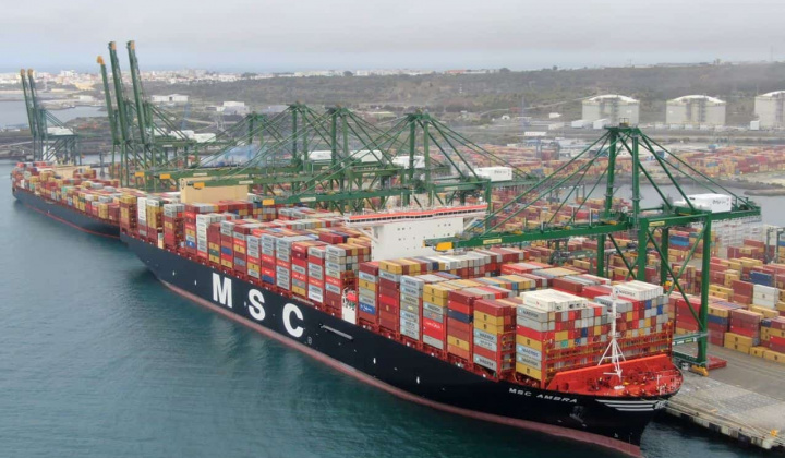 MSC: Thêm tuyến tàu vận chuyển hàng mới từ Việt Nam đi Bờ Đông Hoa Kỳ
