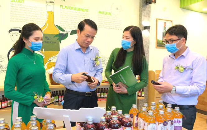 Thái Nguyên ra mắt sản phẩm trà lên men VKombucha