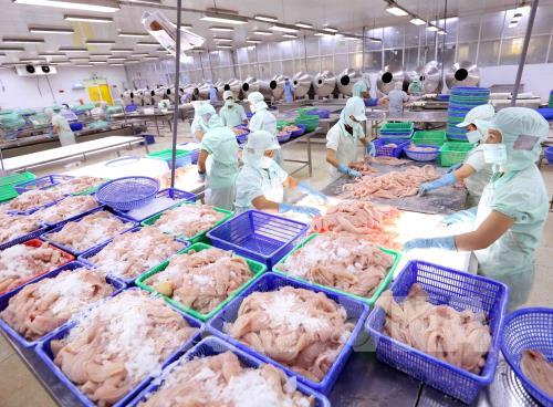 Từ ngày 1/4/2021, xuất khẩu thủy sản sang Anh cần chứng thư mới