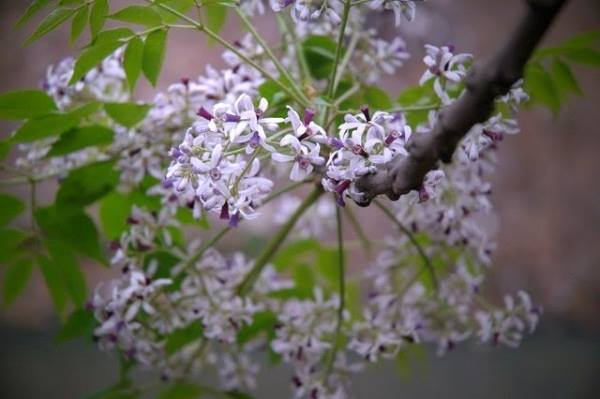 Thời tiết 10-4: Mưa rải rác khắp mọi miền