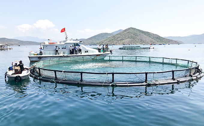Ứng dụng công nghệ 4.0 trong nuôi trồng thủy sản trên biển
