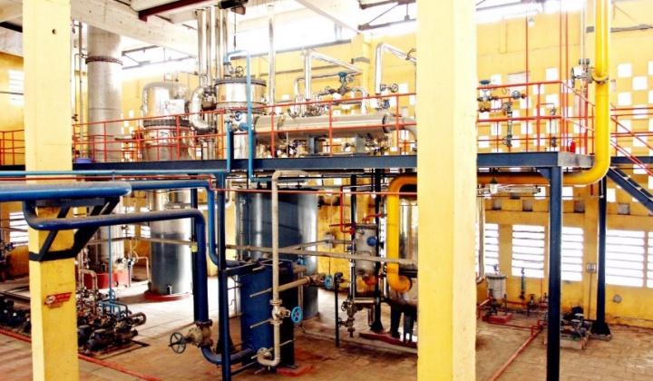 Viện Hóa học Công nghiệp Việt Nam sản xuất keo UF và UMF sử dụng trong ván ép đạt tiêu chuẩn xuất khẩu