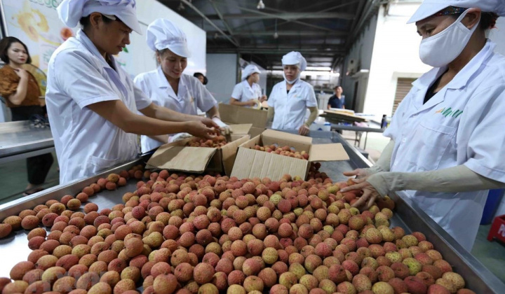 Cơ chế cấp giấy chứng nhận xuất xứ hàng hóa mẫu AJ để hưởng ưu đãi trong AJCEP