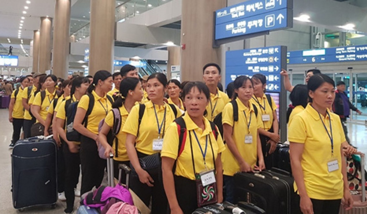 Thực trạng lao động di cư đến trên địa bàn tỉnh Trà Vinh: Trường hợp lao động di cư đến là công nhân và lao động tự do